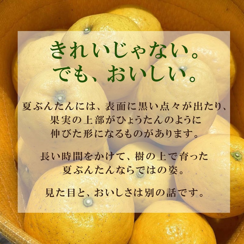 きれいじゃない。でも、おいしい。