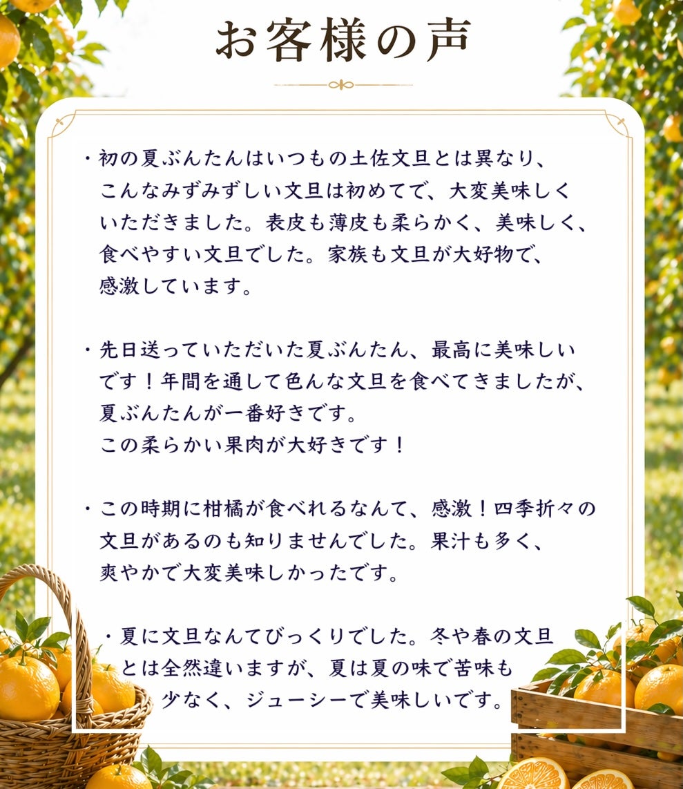 なつぶんたんページ 厳選夏ぶんたん化粧箱入りジューシーフルーツ【クール送料込】 | 白木