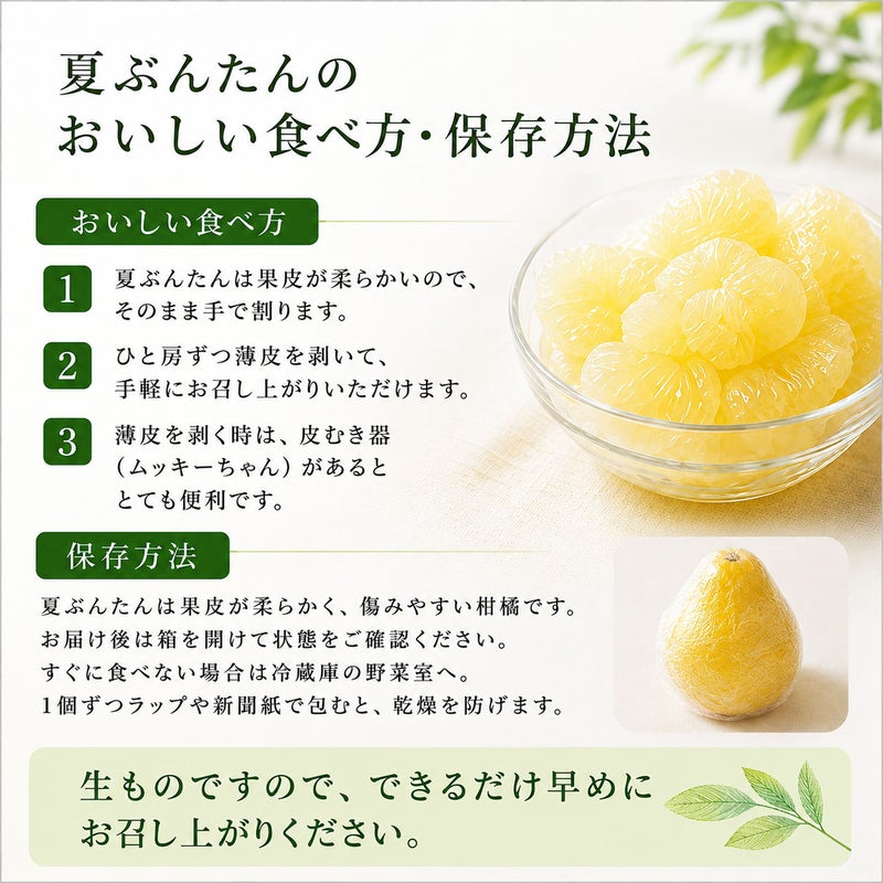 夏ぶんたんのおいしい食べ方・保存方法