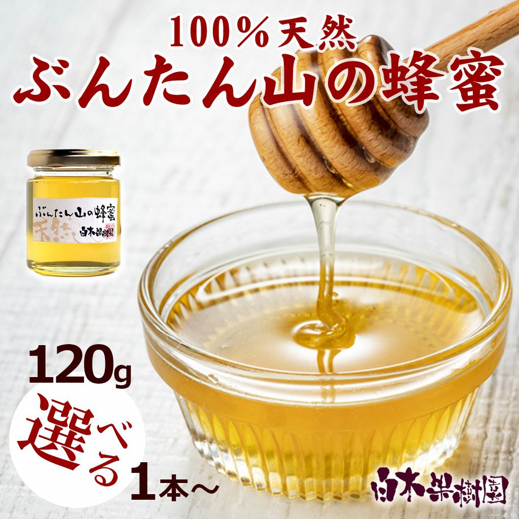 ぶんたん山の蜂蜜 120g 1本・2本・3本4本・5本＜2026年産＞ | 白木果樹園