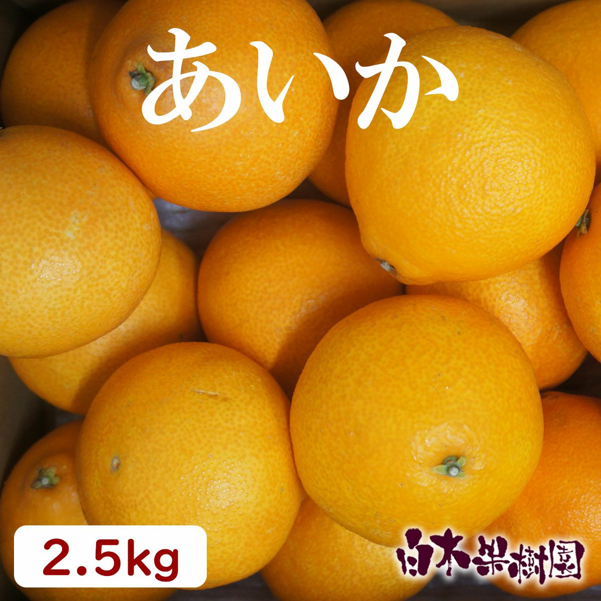 送料込】あいか 約2.5kg 【ギフト対象外】 | 白木果樹園