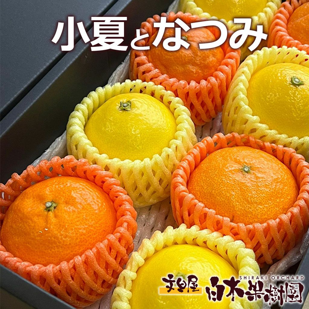 なつみ | 白木果樹園