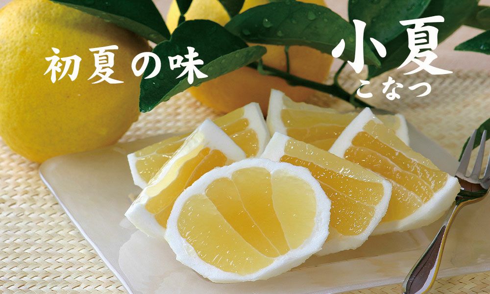 小夏とハウスみかんセット【送料込】 | 白木果樹園 小夏とハウスみかんセット【送料込】 | 白木果樹園