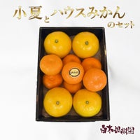 小夏とハウスみかん