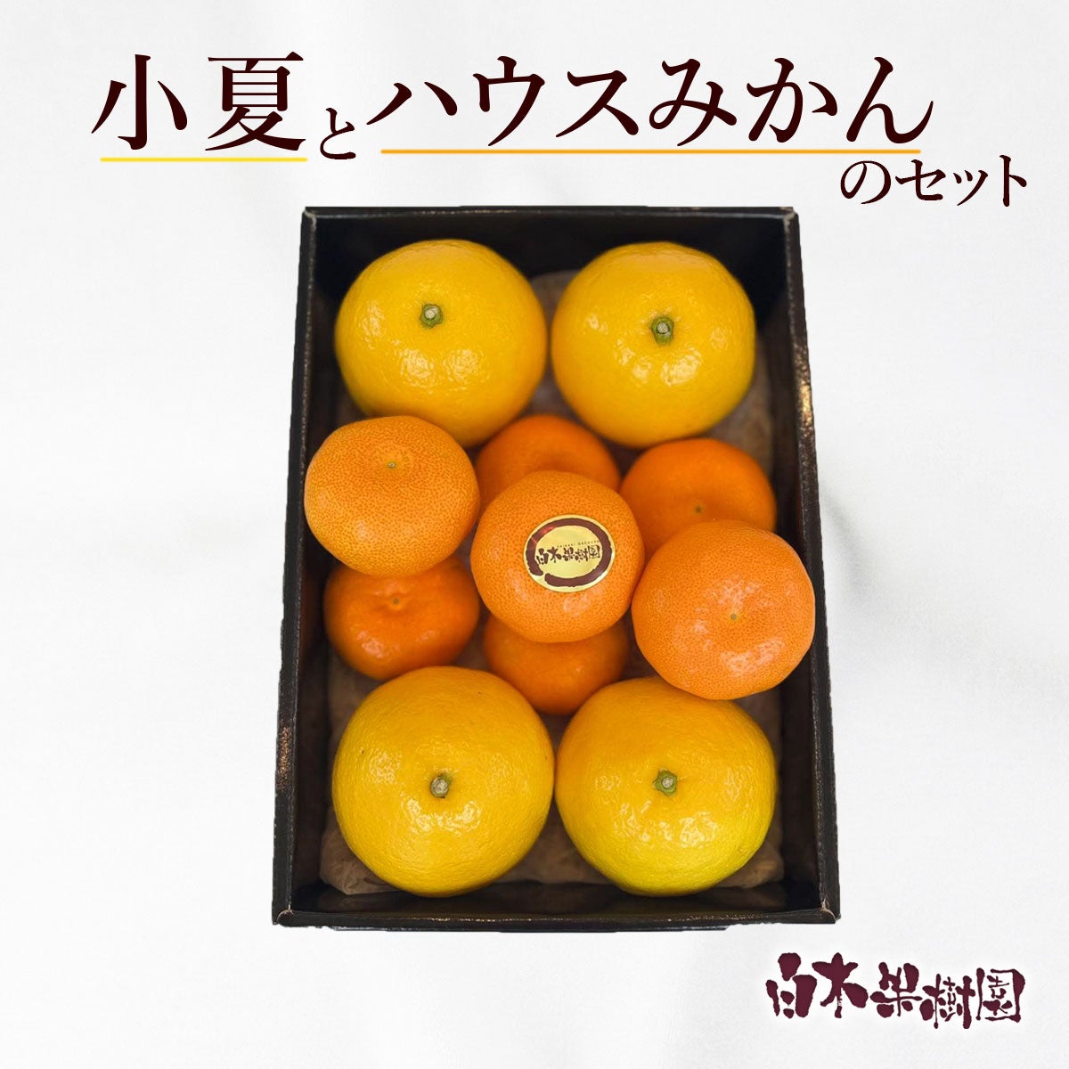 小夏とハウスみかん