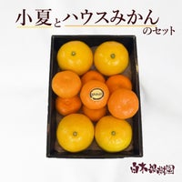 小夏とハウスみかん
