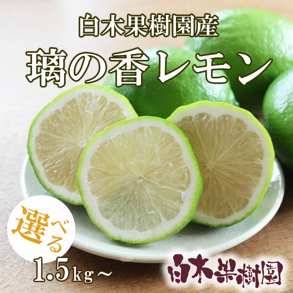 白木果樹園産 璃の香レモン 