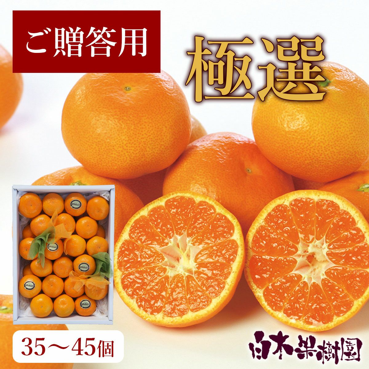 化粧箱入り】最高級極選温州みかん約3.5kg【送料込】 | 白木果樹園