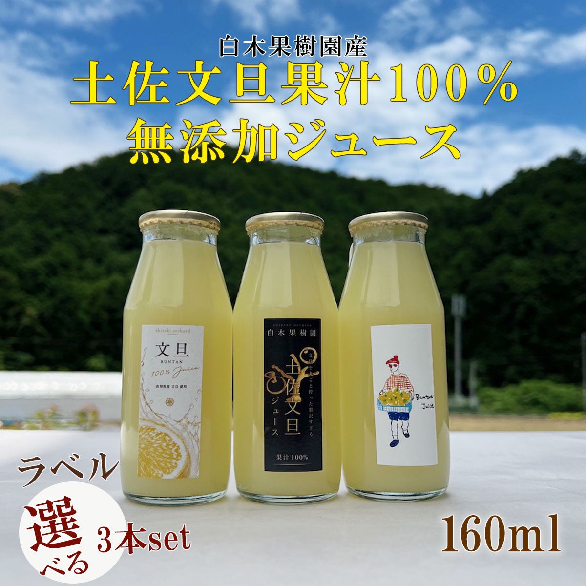 ＜2026年産＞白木果樹園産土佐文旦ジュース3本入り【土佐文旦果汁100％】