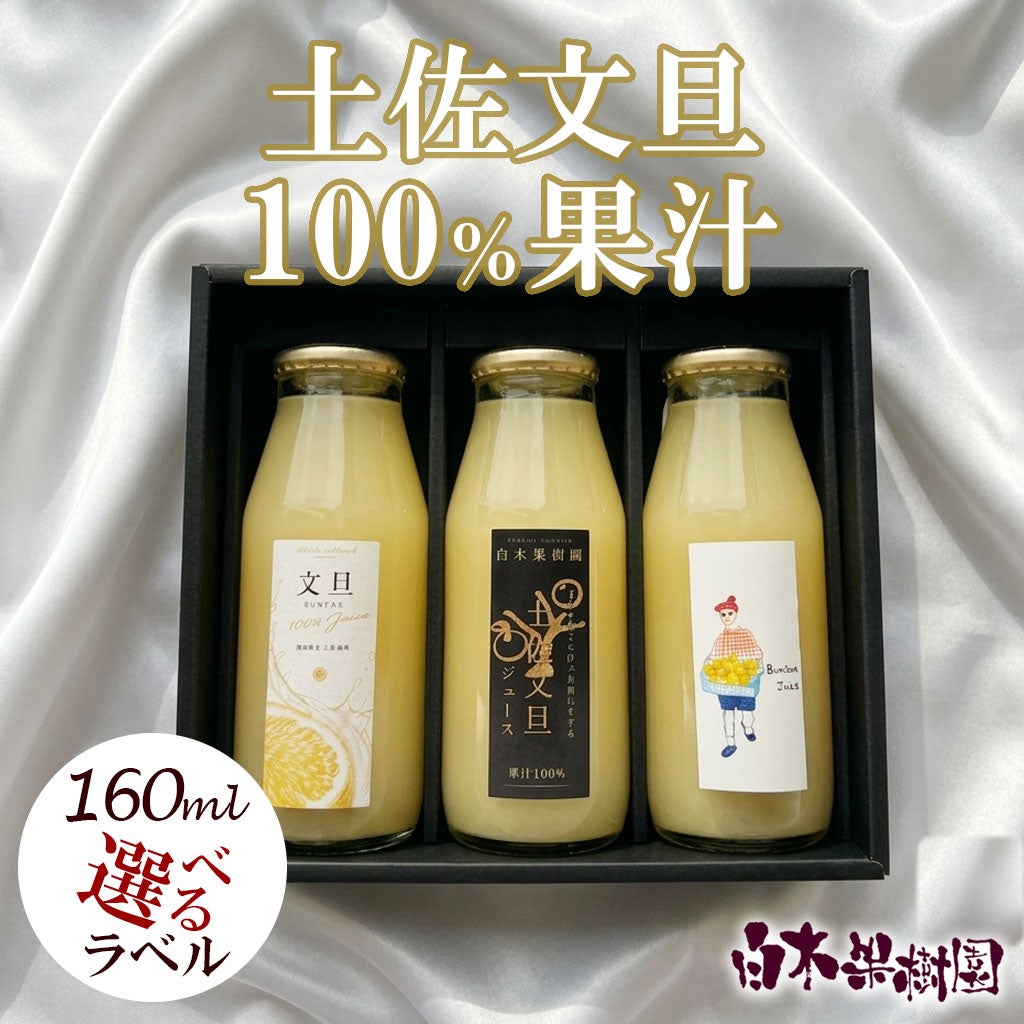 ＜2026年産＞白木果樹園産土佐文旦ジュース3本入り【土佐文旦果汁100％】