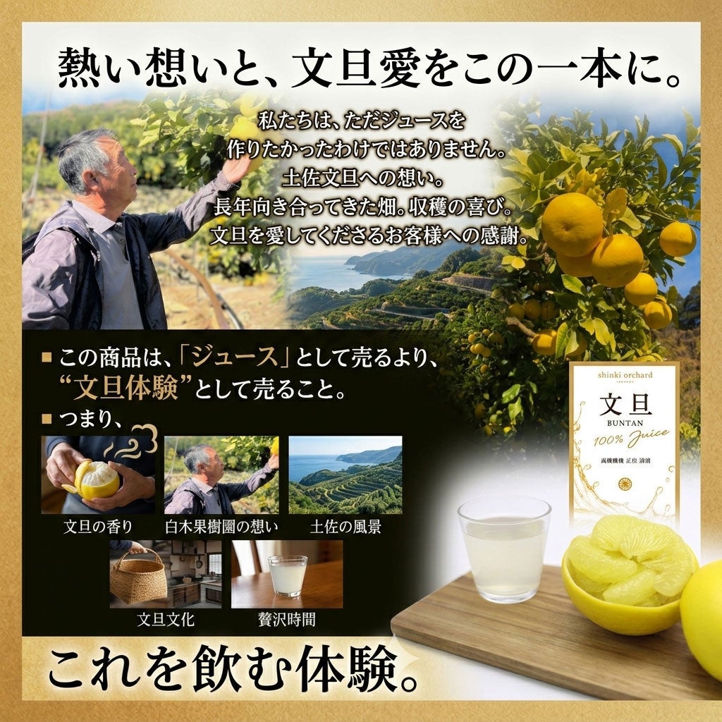 新商品】＜2026年産＞土佐文旦100％果汁160ml 3本入り【送料込