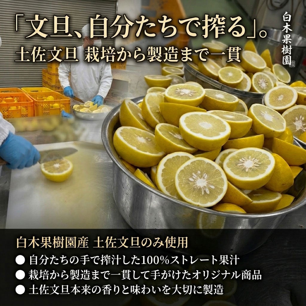 新商品】＜2026年産＞土佐文旦100％果汁160ml 3本入り【送料込