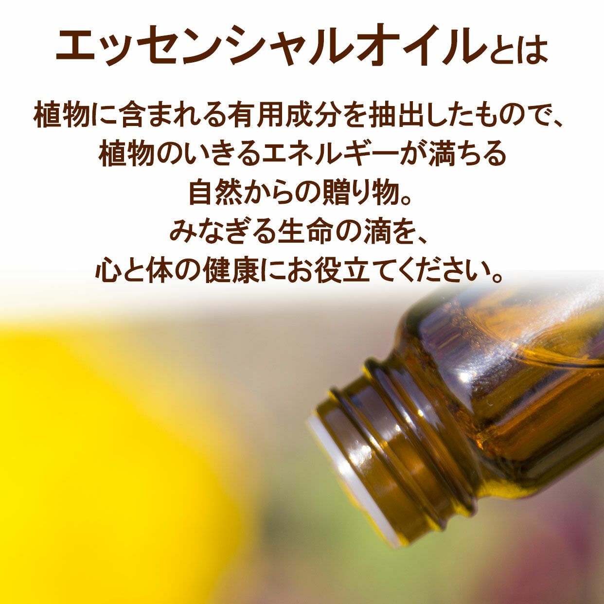天然精油100％】【国産】 ベルガモットエッセンシャルオイル5ml