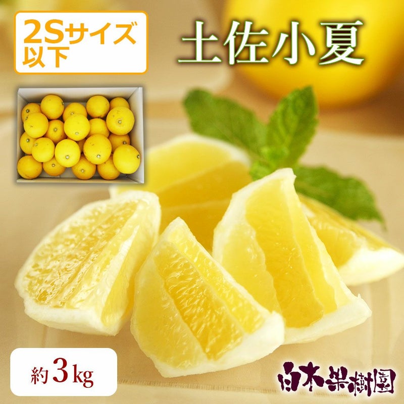 小夏こつぶちゃん ご家庭用 約3kg