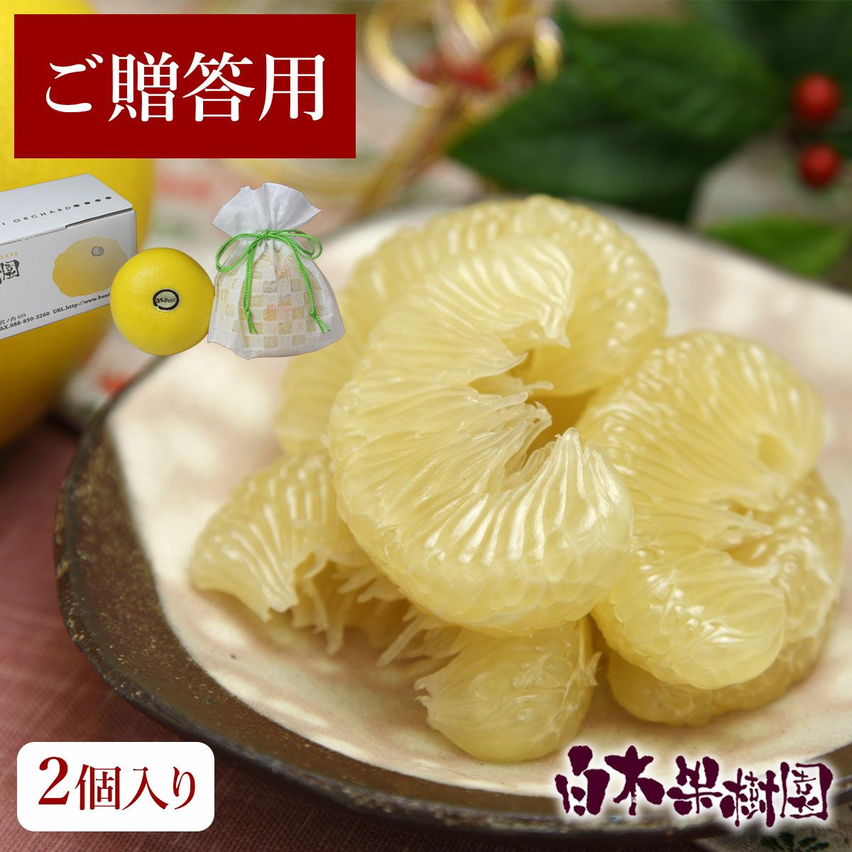 温室土佐文旦（ハウス文旦）贈答用特大2個入り【送料込】 | 白木果樹園