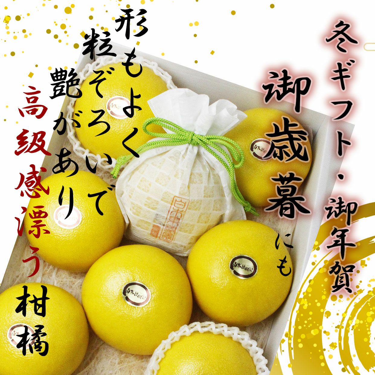 温室土佐文旦（ハウス文旦）贈答用特大2個入り【送料込】 | 白木果樹園