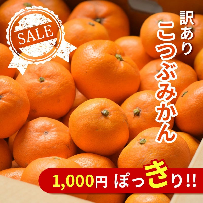 わけありみかんこつぶちゃん