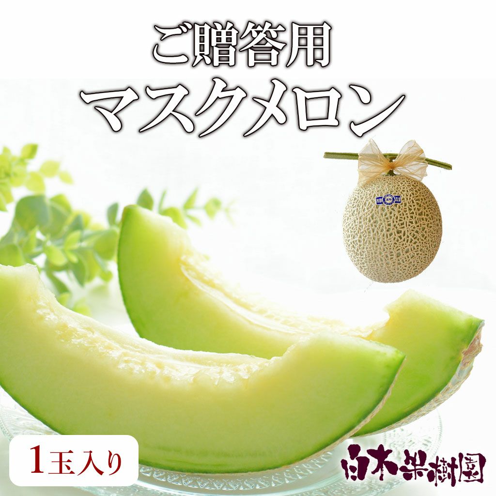 マスクメロンご贈答用1玉入り【送料込】 | 白木果樹園