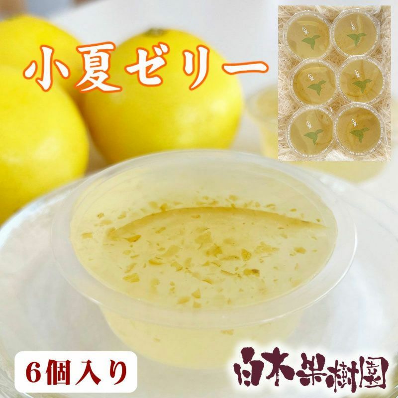 小夏ゼリー6個化粧箱入り
