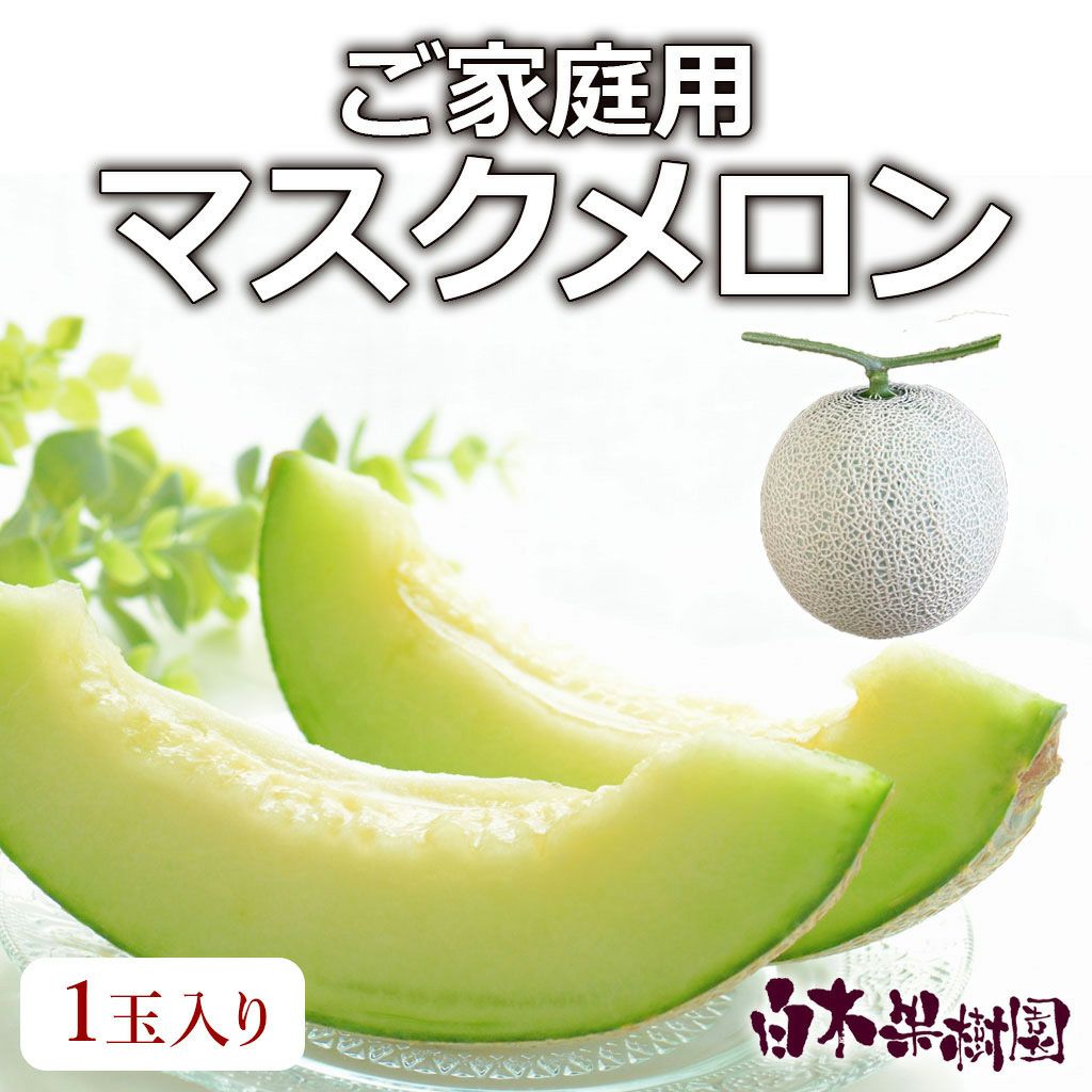 マスクメロン訳ありB級品1玉入り【送料込】 | 白木果樹園