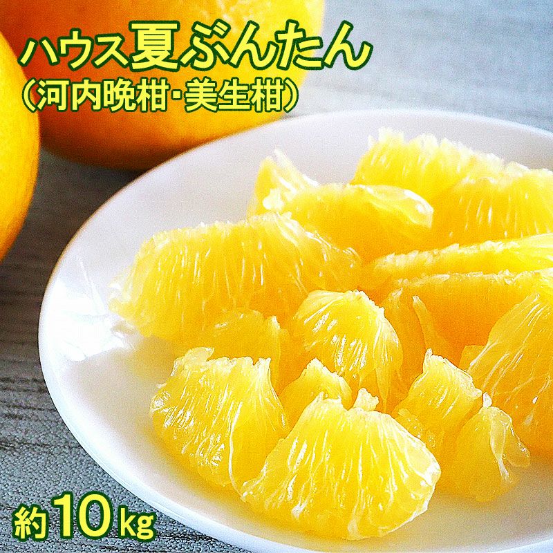 ハウス夏ぶんたんご家庭用