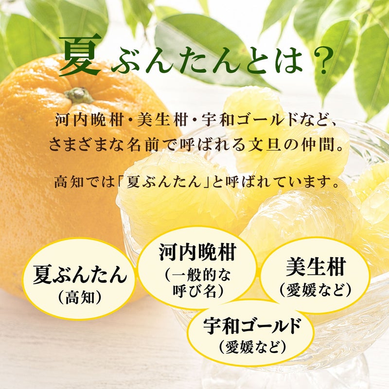 夏ぶんたんとは？