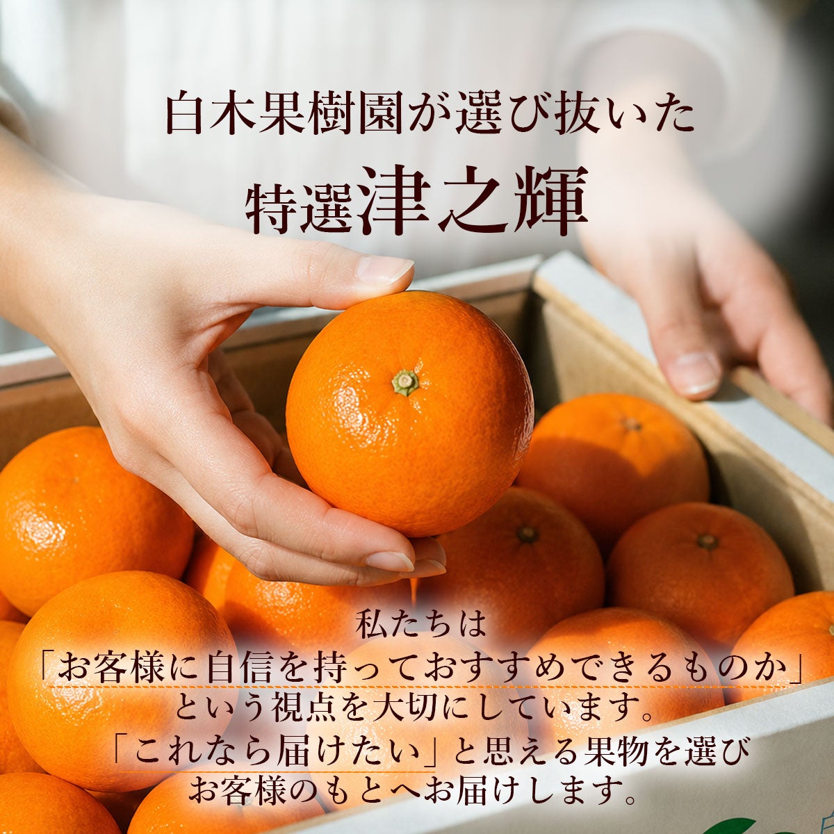 その他柑橘類