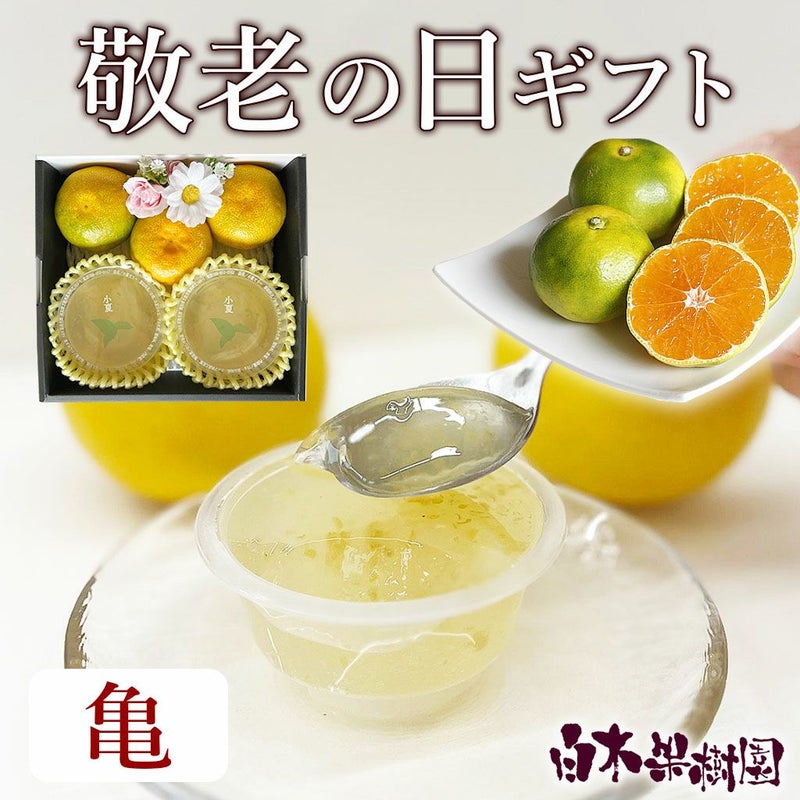 敬老の日・亀セット