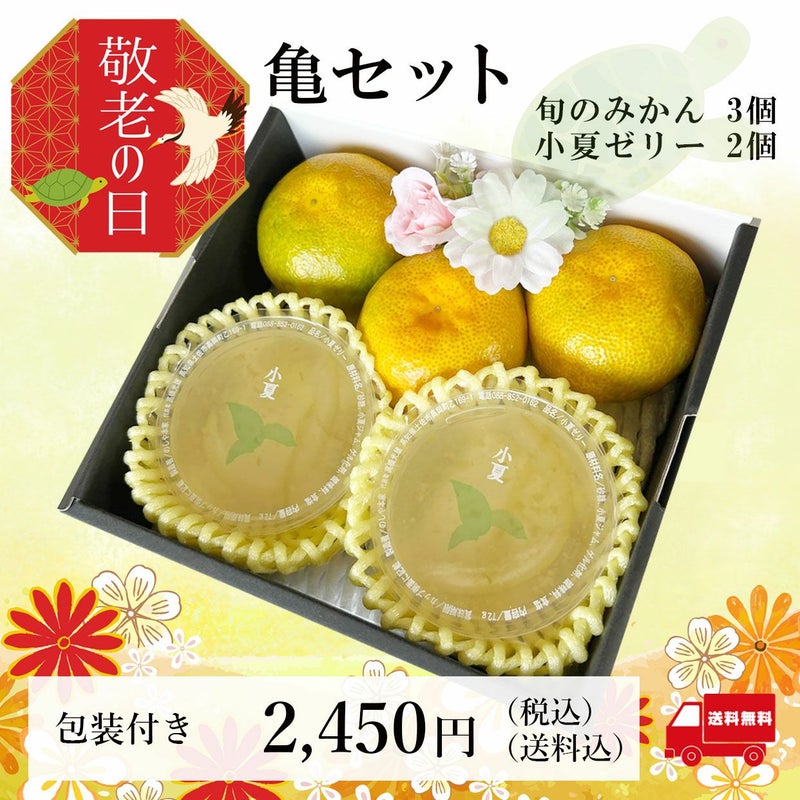 亀セット　旬のみかんと小夏ゼリー
