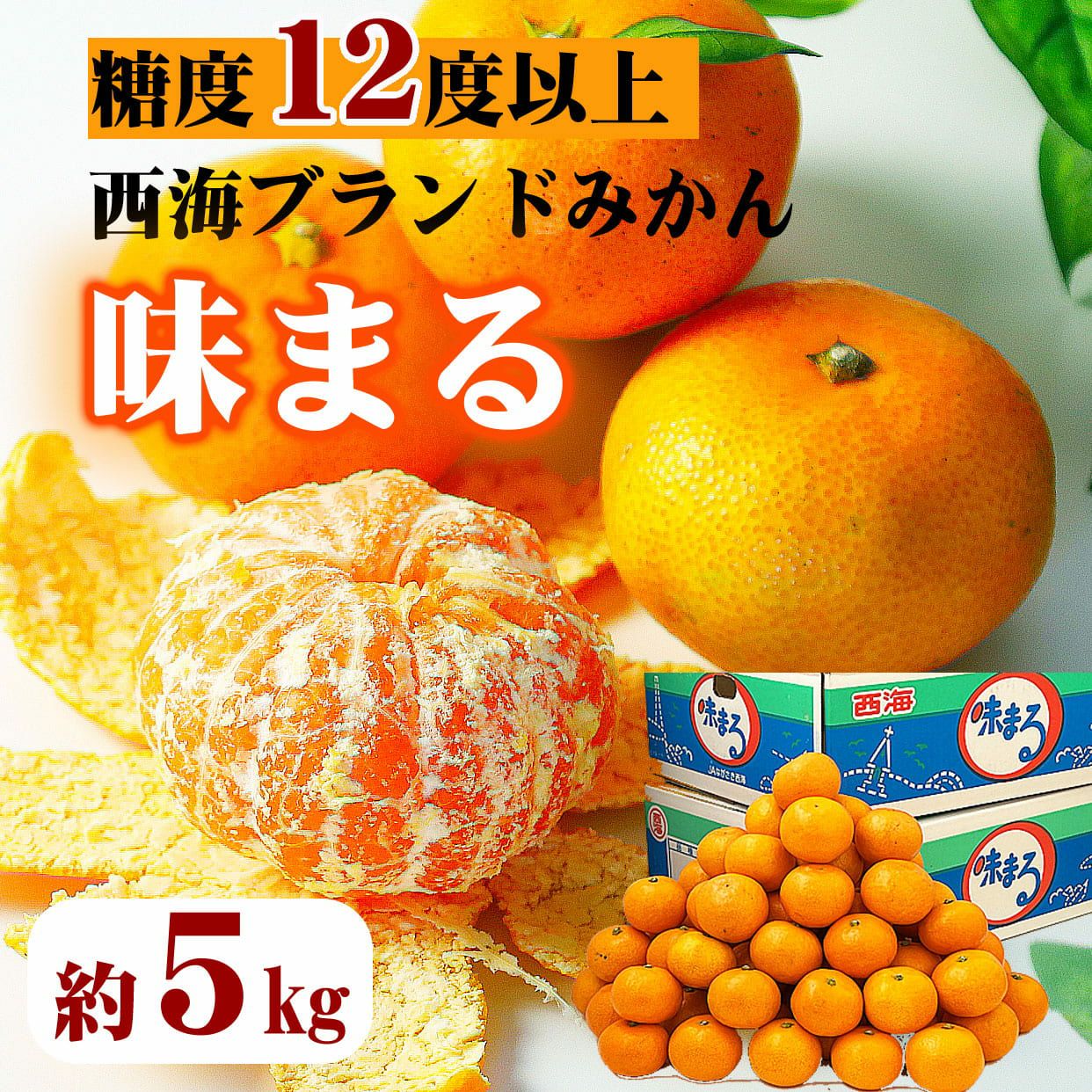 000000000532-01.jpg?size=l&w=