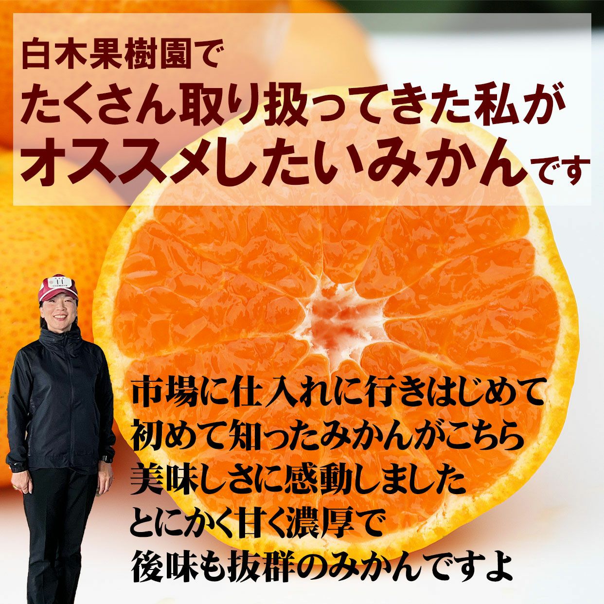 送料込】【訳ありセール】味まるみかん2Sサイズ 5kg【こつぶちゃん