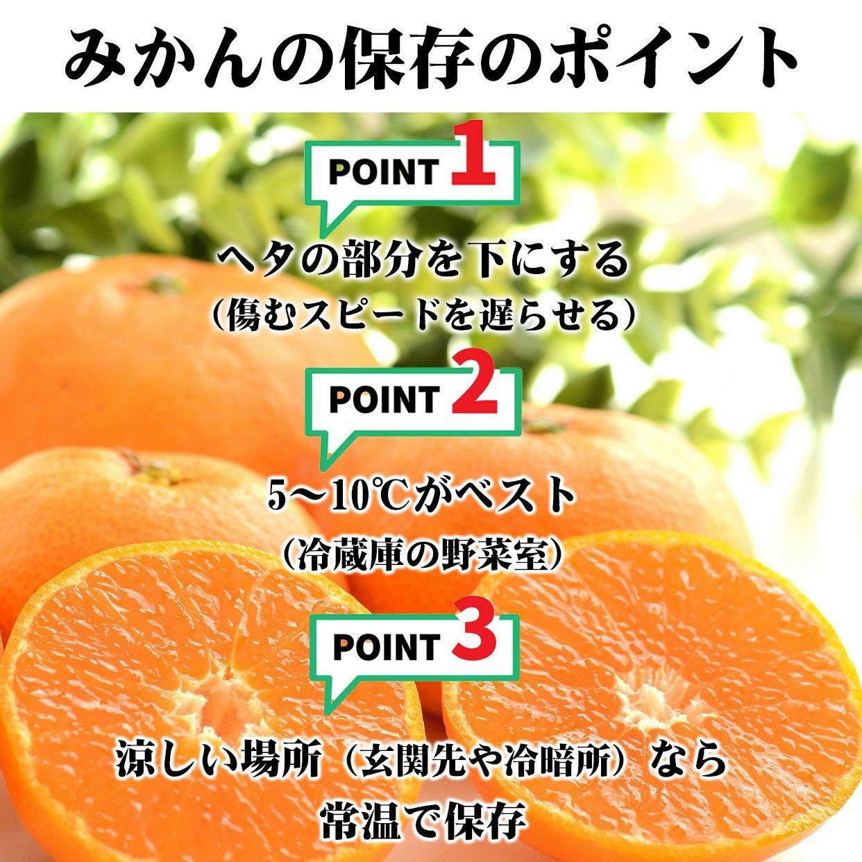 送料込】【訳ありセール】味まるみかん2Sサイズ 5kg【こつぶちゃん