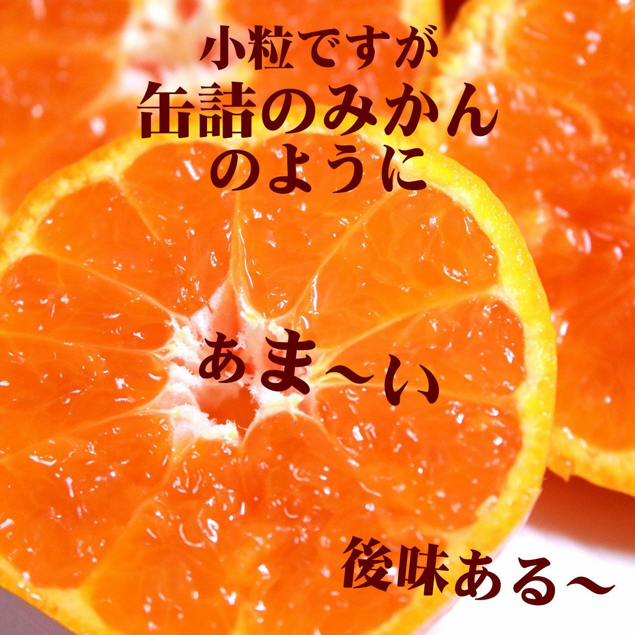 送料込】【訳ありセール】味まるみかん2Sサイズ 5kg【こつぶちゃん