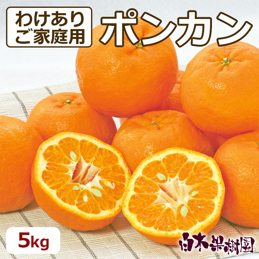 立目ポンカンわけありご家庭用約5kg