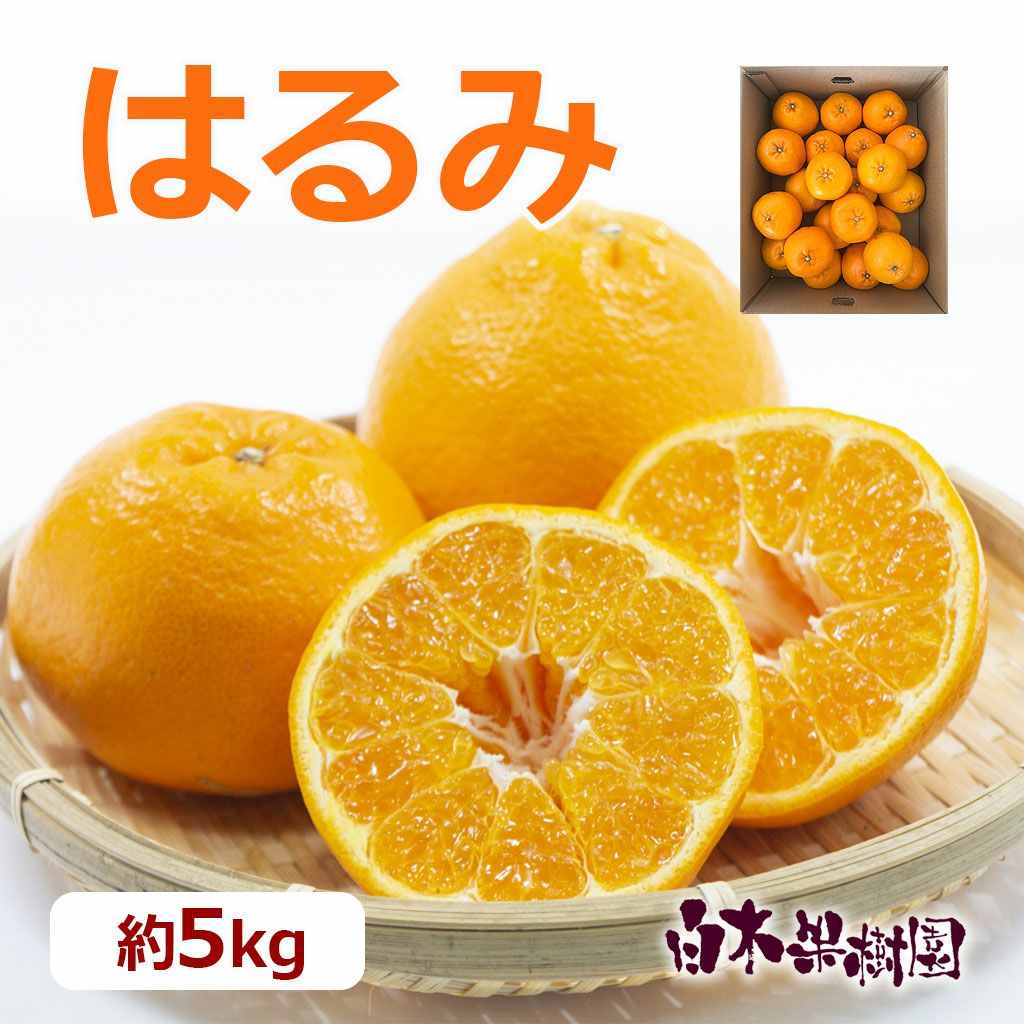くりーむ　　はるみ はるみ 約4kg（18～24玉入り） (紀南): ココ・カラ。和歌山マルシェ