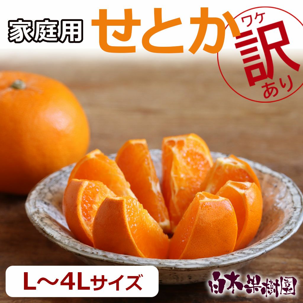 せとか ご家庭用 L～4Lサイズ【送料込】 | 白木果樹園