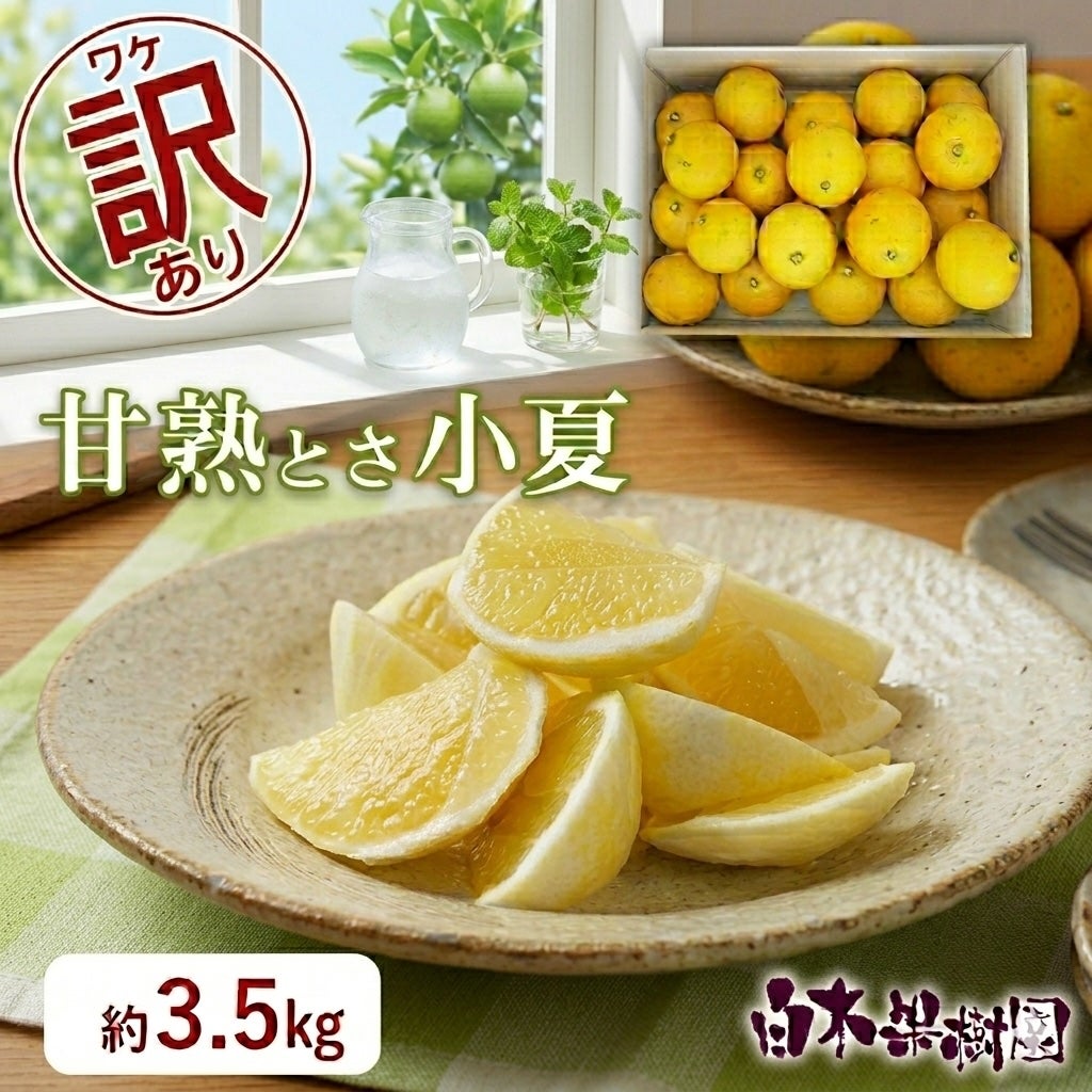 甘熟とさ小夏わけありご家庭用 約3.5kg