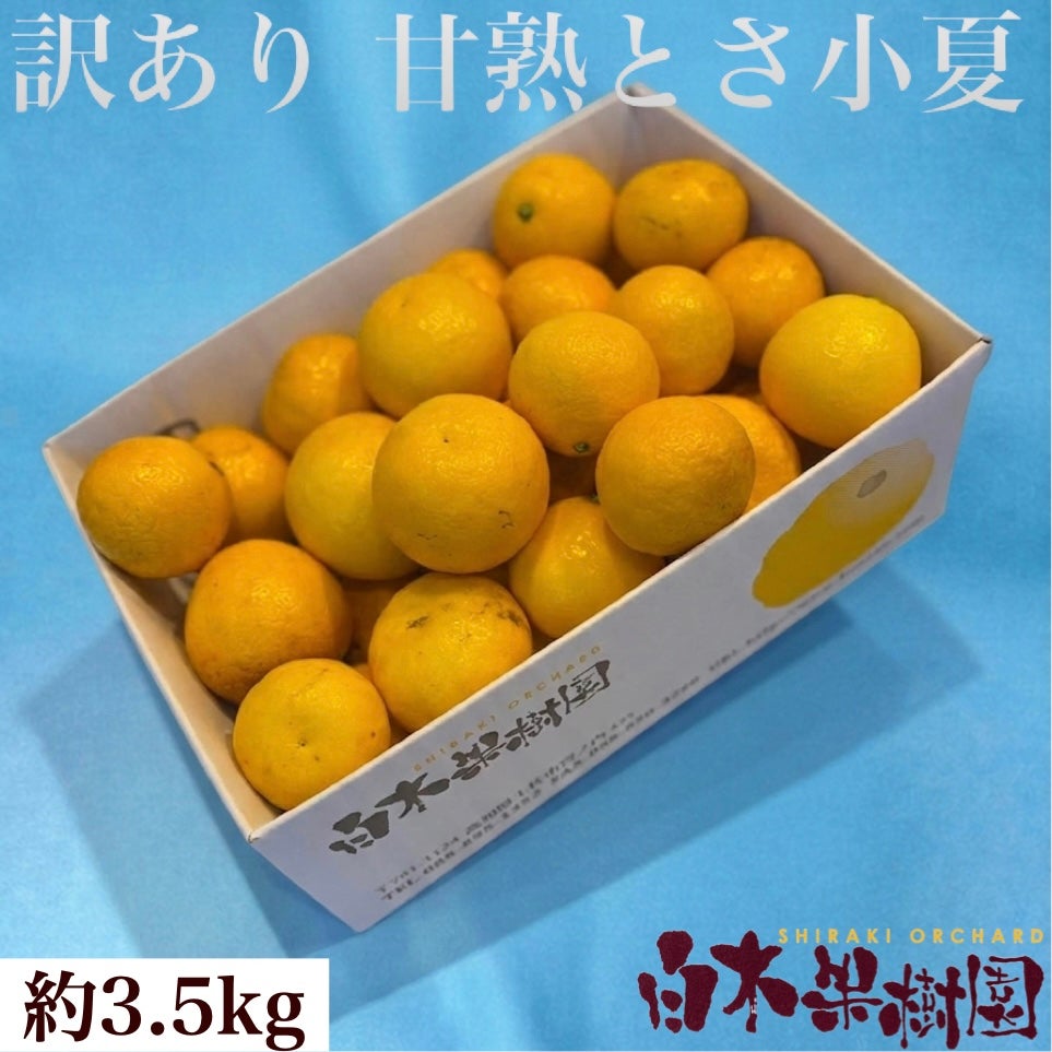 甘熟とさ小夏わけありご家庭用 約3.5kg