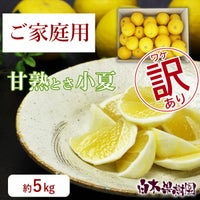 甘熟とさ小夏わけありご家庭用 約5kg