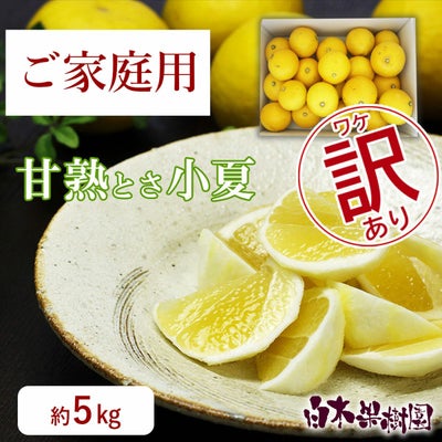 甘熟とさ小夏わけありご家庭用 約5kg
