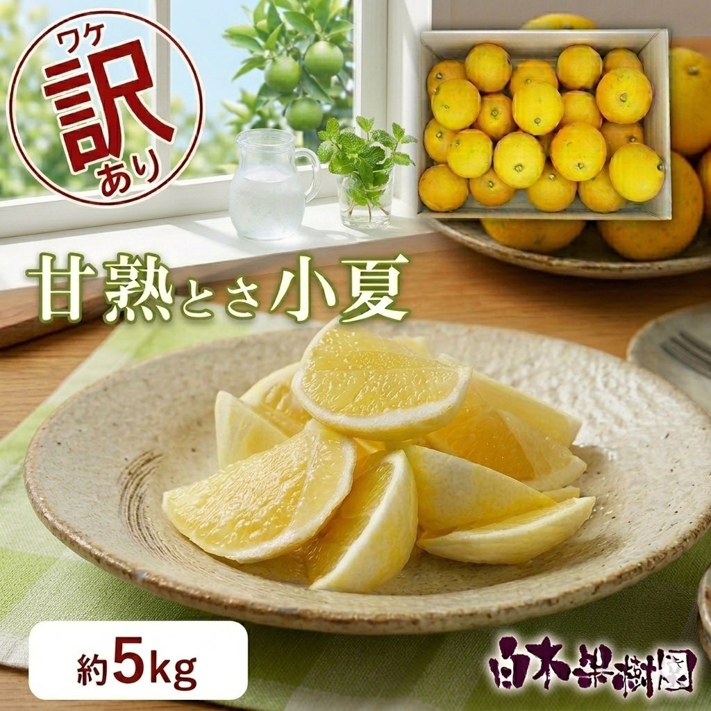 甘熟とさ小夏わけありご家庭用 約5kg