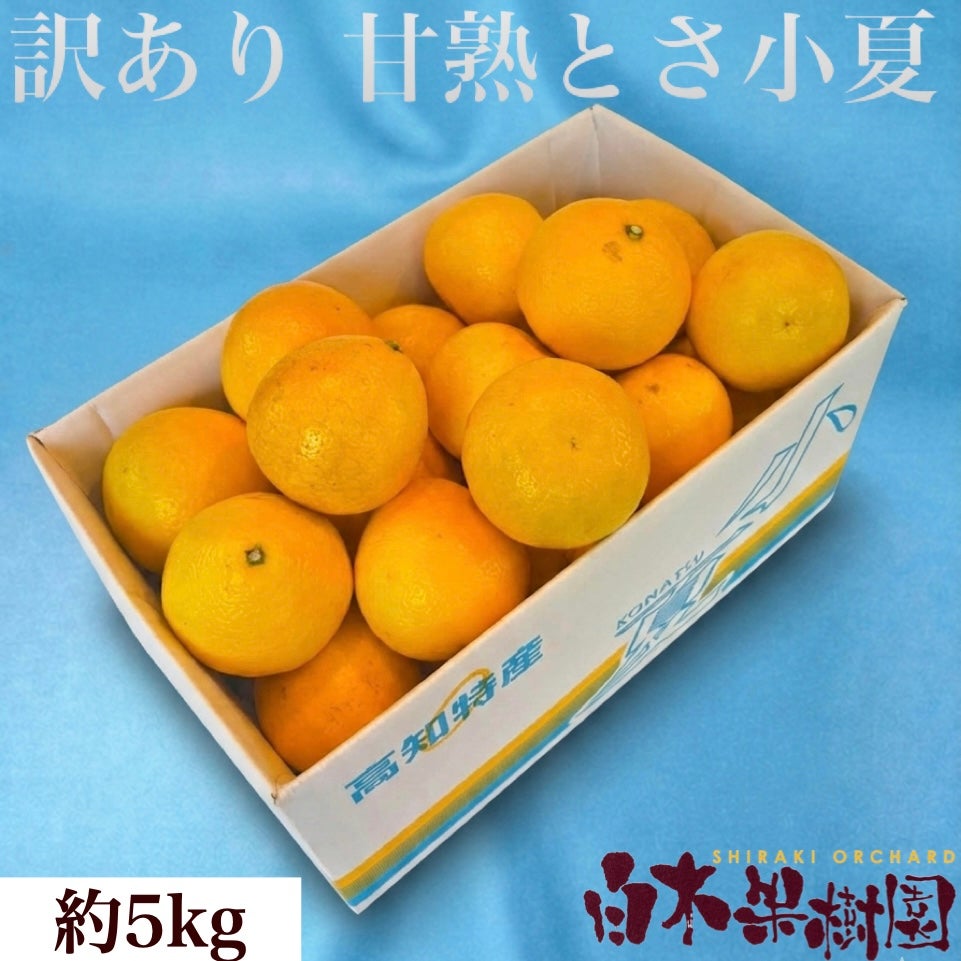 甘熟とさ小夏わけありご家庭用 約5kg