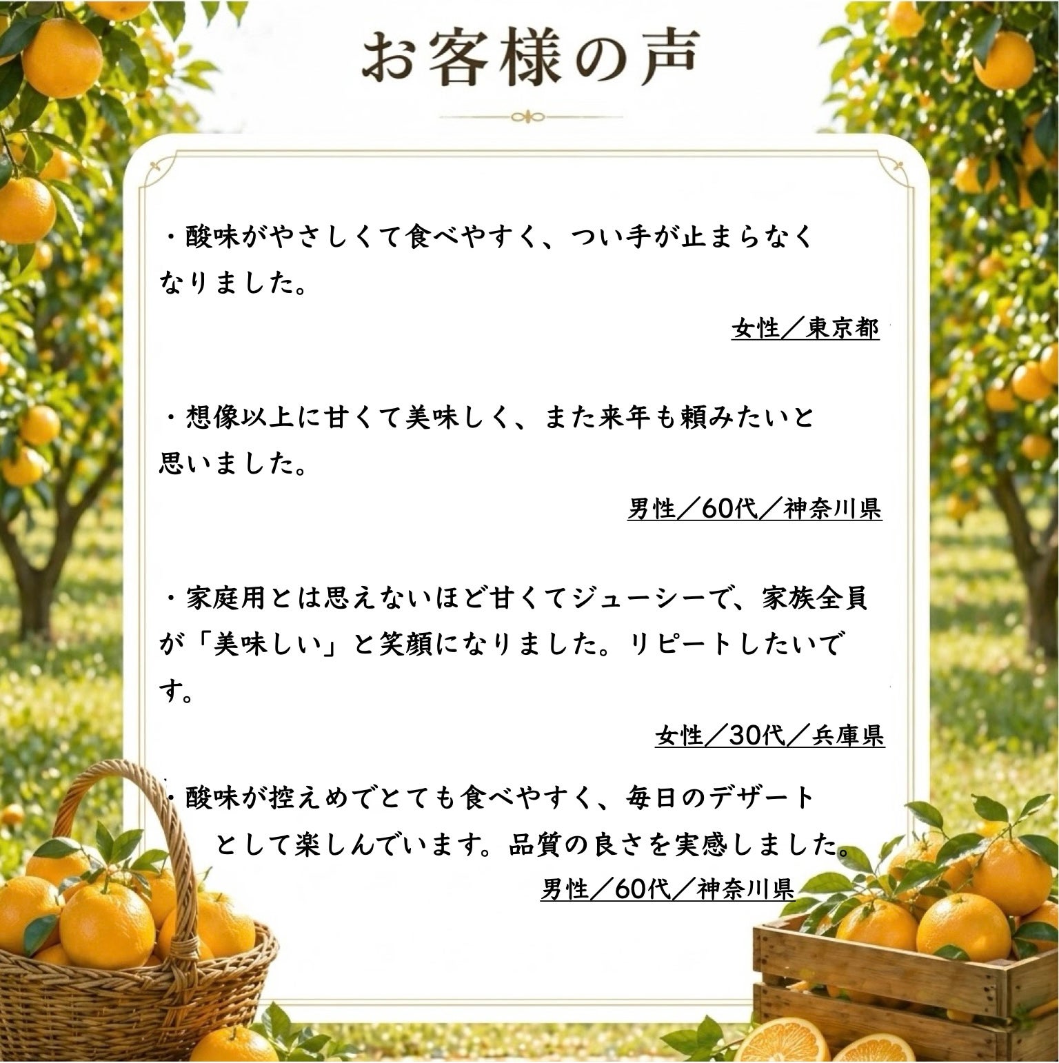 甘熟とさ小夏わけありご家庭用約5kg（小夏）（日向夏）（ニューサマー