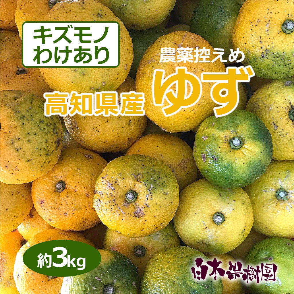 高知県産ゆず訳ありキズモノ約3kg