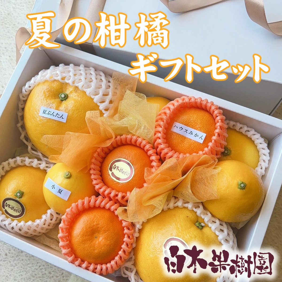 夏の柑橘ギフトセット【送料込】 | 白木果樹園