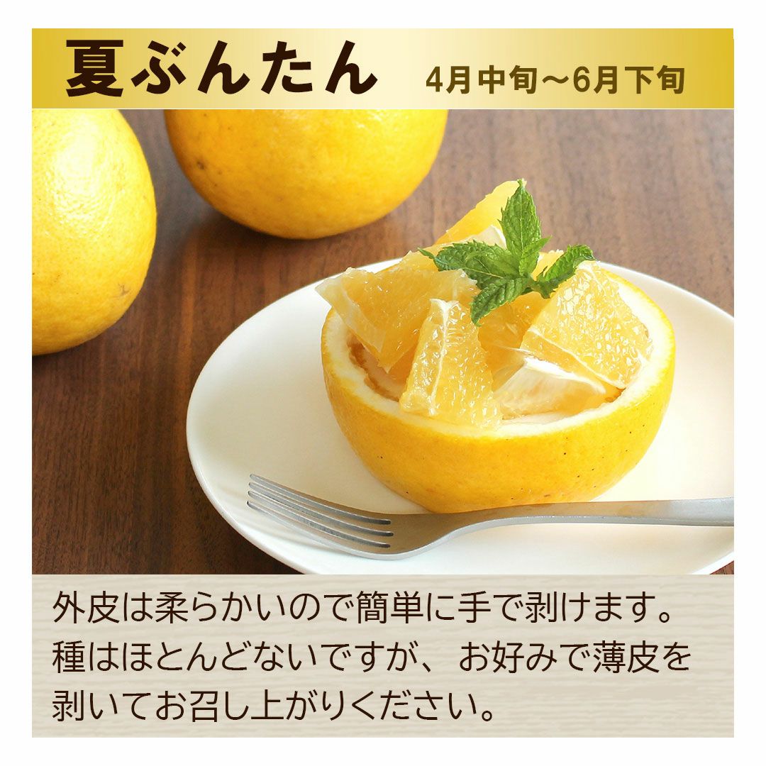 夏ぶんたん　河内晩柑　みしょうゴールド