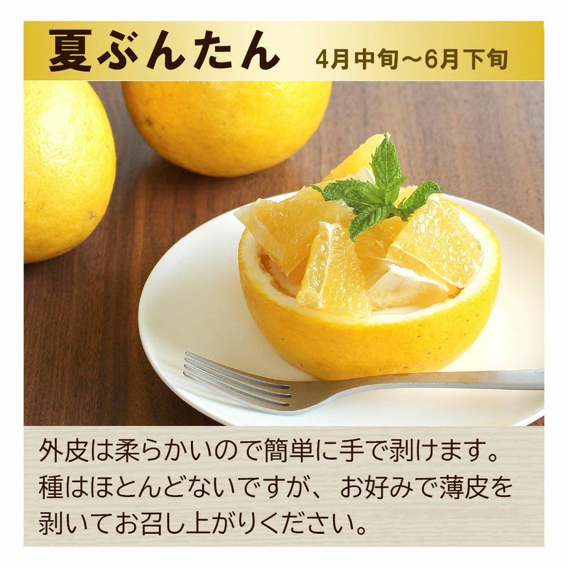 夏ぶんたん　河内晩柑　みしょうゴールド
