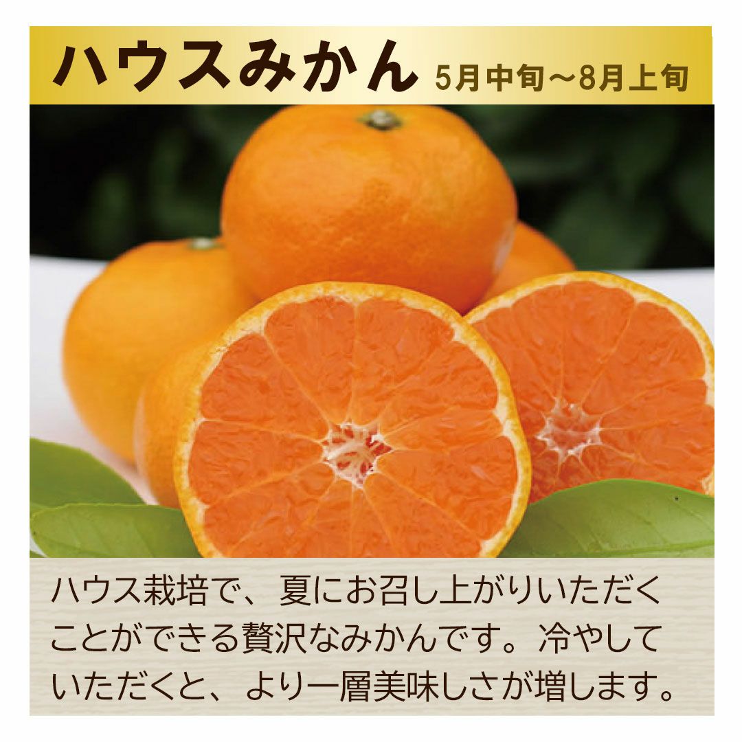 夏の柑橘ギフトセットジューシーフルーツ【送料込】 | 白木果樹園