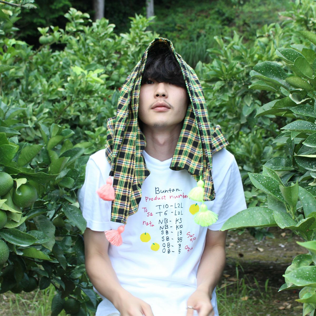 PommTshirt 【宅急便コンパクト】送料別 | 白木果樹園
