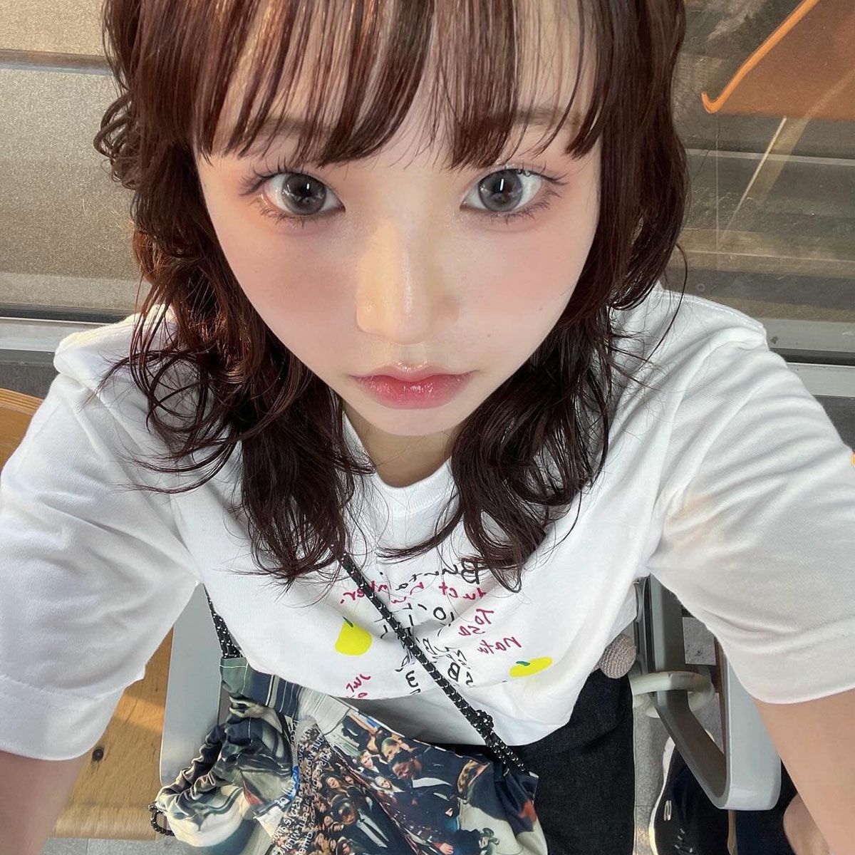 PommTshirt 【宅急便コンパクト】送料別 | 白木果樹園